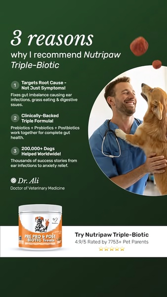 A vertically-oriented, authority-led ad creative featuring a veterinarian and a dog, highlighting clinical benefits and social proof through a structured, three-point list.